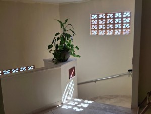 Ver mais fotos